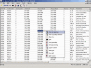 The Query Tool 2005 screenshot